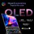 ASUS MQ149CD ZenScreen Duo OLED 360° Foldable Portable Monitor - Dual 14-inch, 16:10, 1920x1200, DisplayHDR400 True Black, 100% DCI-P3, Delta<2, Dual USB-C, Mini-HDMI, Kickstand