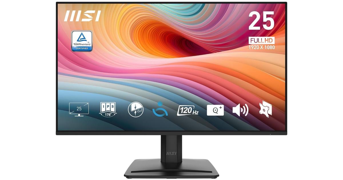 MSI Pro MP251 E2 25 بوصة IPS Full HD 120 هرتز 1 مللي ثانية HDR Ready EyesErgo مضاد للوميض أقل ضوء أزرق فحص Eye-Q مع مكبرات صوت، VGA ومنفذ عرض وHDMI - أسود