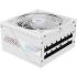 GIGABYTE AORUS ELITE P850W 850W 80+ Platinum Modular PCIe 5.0 Power Supply, Intel Form Factor ATX 12V v3.0, 850W Capacity, 120mm FDB Fan, 60-50 Hz Input Frequency, Ice