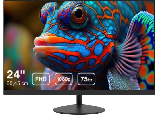 Dahua LM24-A200M 24” Full HD 100Hz Anti-Blue Light Eye-Protective Micro Bezel Design w/ HDMI & VGA Interface - Black