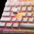 SteelSeries Apex 3 TKL RGB Gaming Keyboard – Tenkeyless Compact Form Factor - 8-Zone RGB Illumination – IP32 Water & Dust Resistant – Whisper Quiet Gaming Switch – Gaming Grade Anti-Ghosting , White