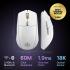 SteelSeries Rival 3 Wireless Gen 2 Gaming Mouse 2.4GHz and Bluetooth 18000 DPI TrueMove Air Optical Sensor 60 Million Click Durability Light-Weight 100% PTFE Feet , White