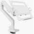Arozzi Alzare Laptop Holder Mounting on a VESA 75x75 Monitor Arm up to 18" Laptops & Tablets Includes Protective Silicone Pads , White