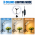 UGREEN LP245 26cm Selfie Ring Light Without Stand (90636)