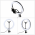 UGREEN LP245 26cm Selfie Ring Light Without Stand (90636)