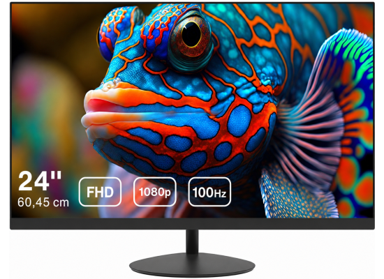 Dahua LM24-A200K 24” Full HD 100Hz Anti-Blue Light Eye-Protective Micro Bezel Design w/ HDMI & VGA Interface - Black