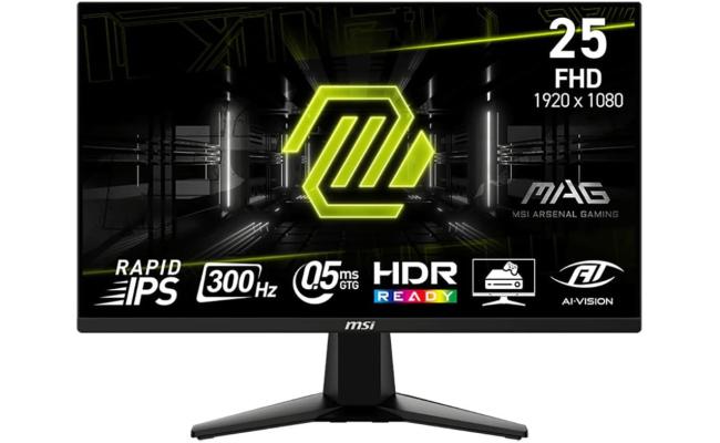 MSI MAG 255XF 25" Rapid IPS Full HD 300Hz 0.5ms HDR Ready AI Vision AMD FreeSync™ Premium w/ 2x HDMI & DisplayPort Interface - Black