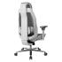 Proove Founder Ergonomic Office Chair with 8D Armrests – Gray (ECFN0001003)